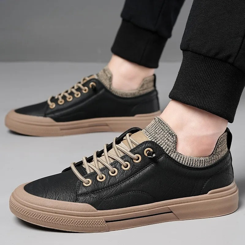 gid://shopify/MediaImage/24566352085086